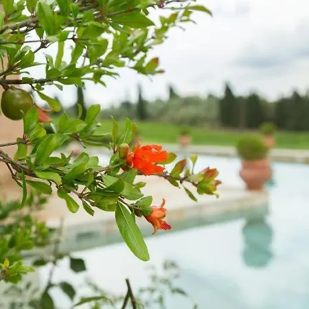 Sleeps 15 Pool Air Con Wifi וילה Ponte A Bozzone